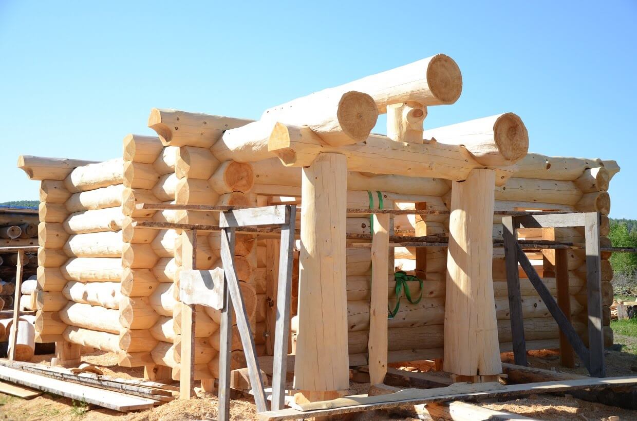 Как выбрать древесину для деревянного дома
